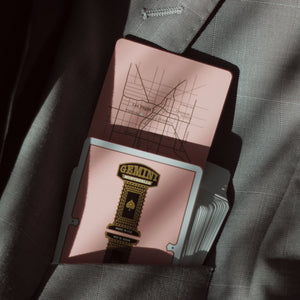 6 decks Gemini Casino Pink + half brick box